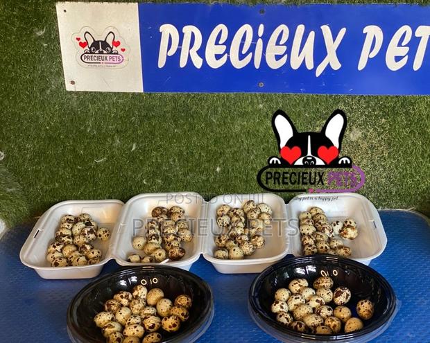 Quails Eggs · Photo 2