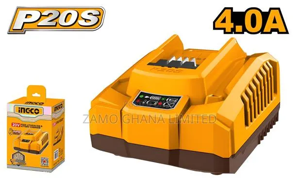 P20s Lithium-Ion Battery Charger - Fcli20411 · Photo 1