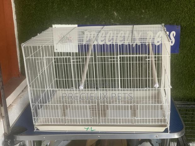 Twin Parrot and Parrakeets Cage Tag 003 · Photo 1