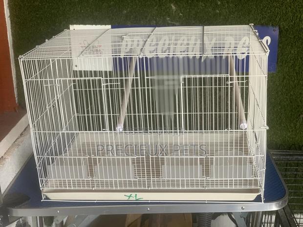 Twin Parrot and Parrakeets Cage Tag 003 · Photo 2