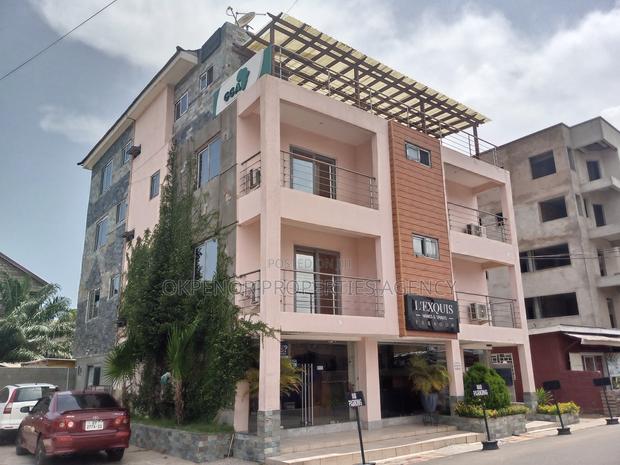 Furnished 2bdrm Apartment in Osu, Accra Metropolitan for rent · Photo 3