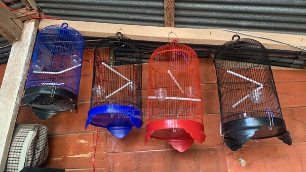 Parakeets Cage Series 00002 · Photo 1