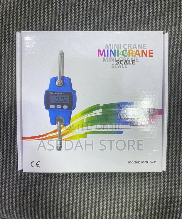 Mini Cranescale 300kg · Photo 2