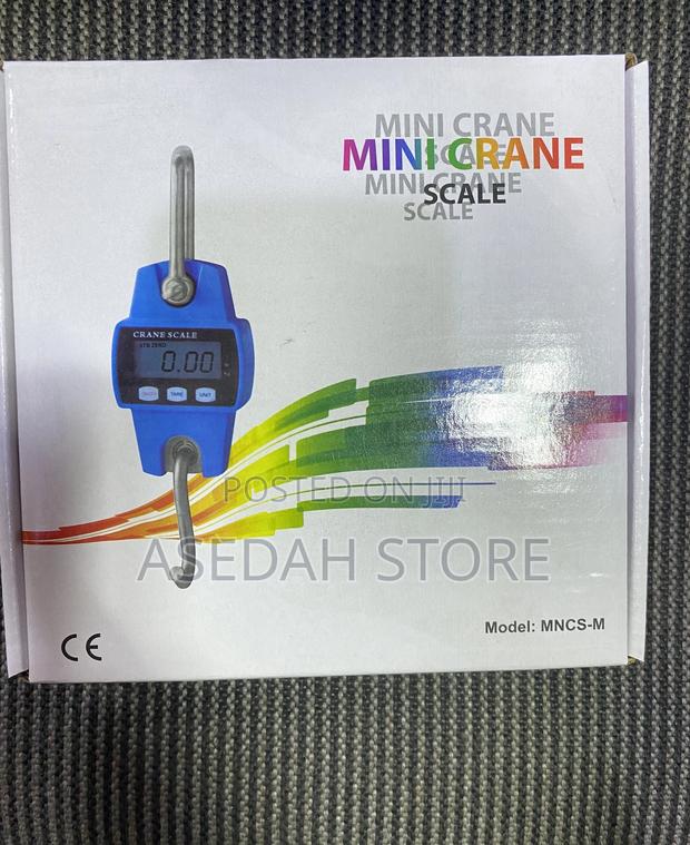 Mini Cranescale 300kg · Photo 5