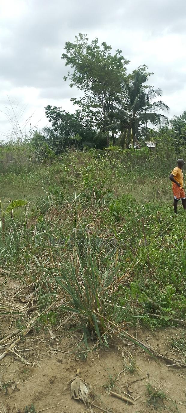 Registered Land for Sale · Photo 2