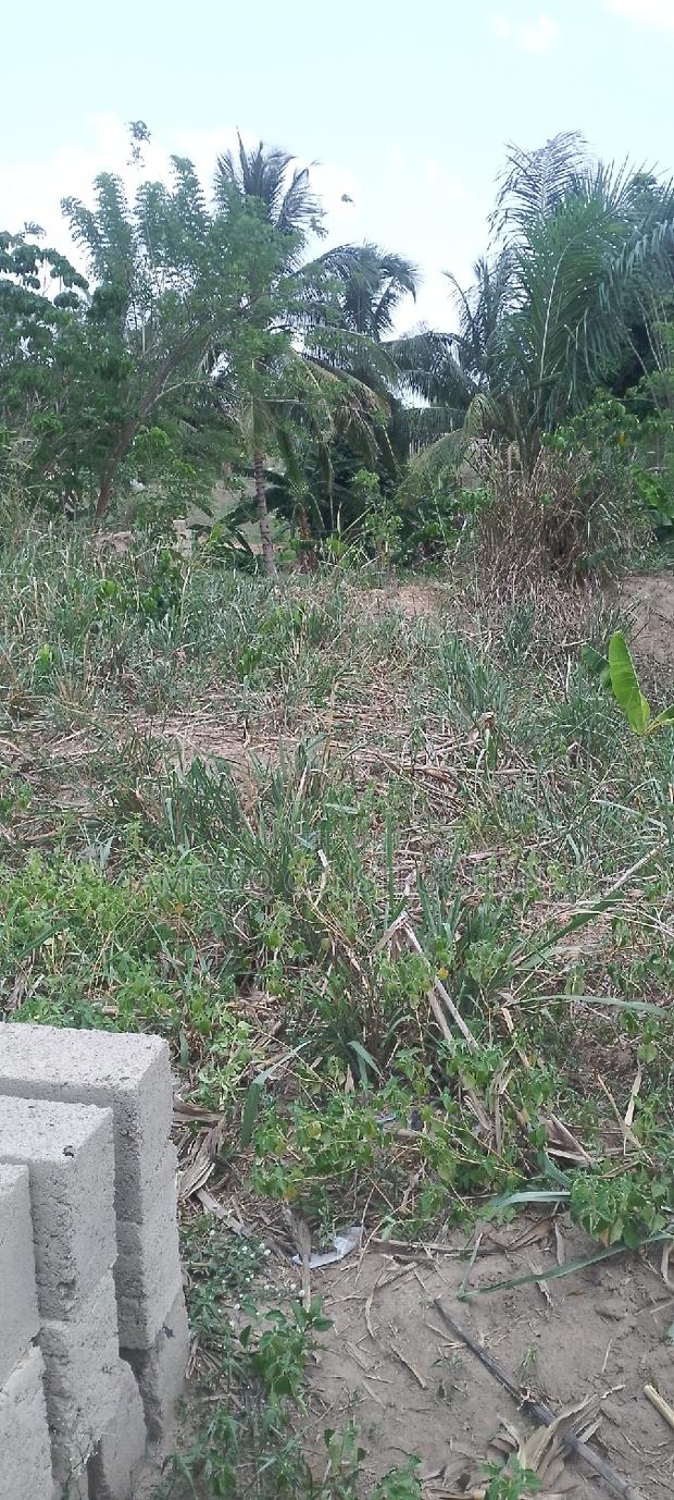 Registered Land for Sale · Photo 3