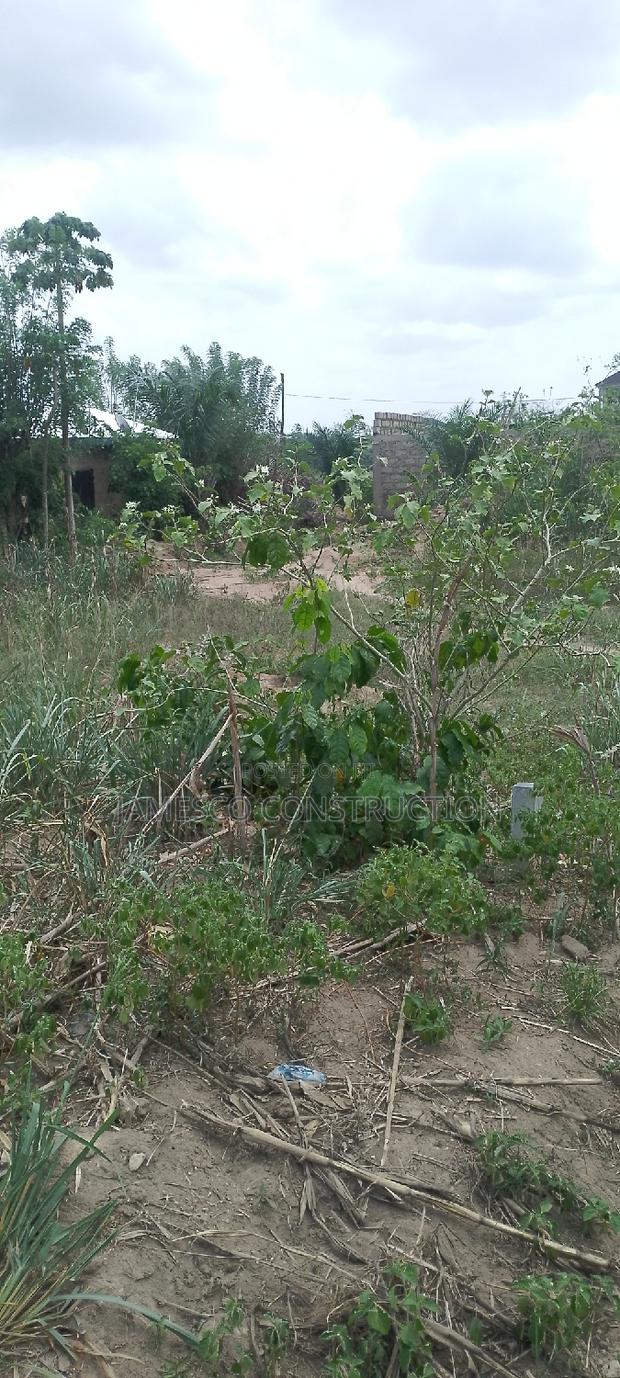 Registered Land for Sale · Photo 4