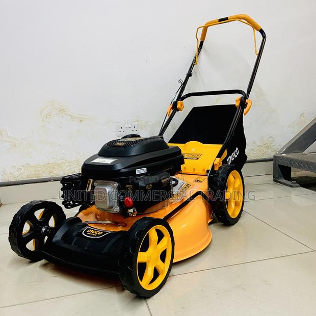 Gasoline Lawn Mower · Photo 1
