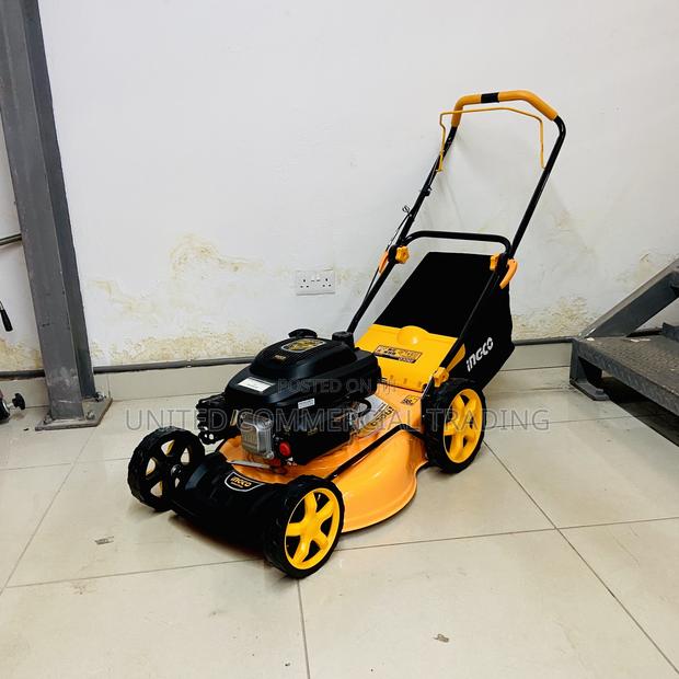 Gasoline Lawn Mower · Photo 2
