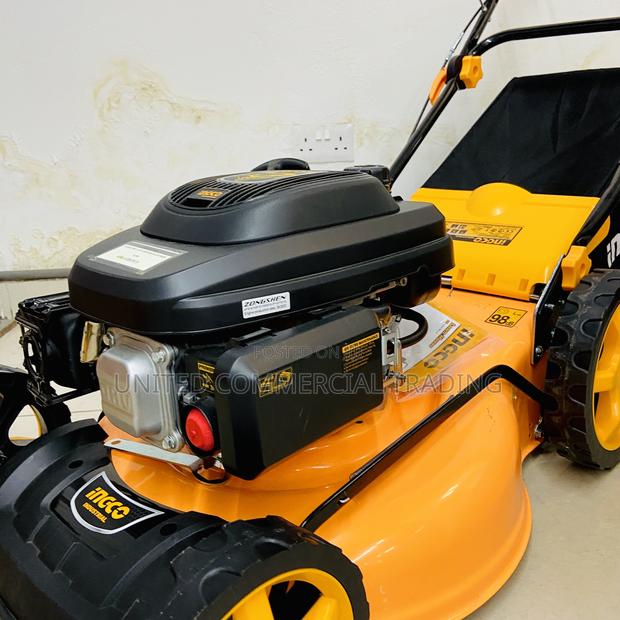 Gasoline Lawn Mower · Photo 4