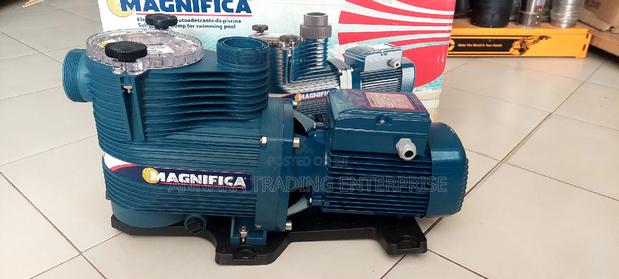 Italian Swimming Pool Pump · Photo 1