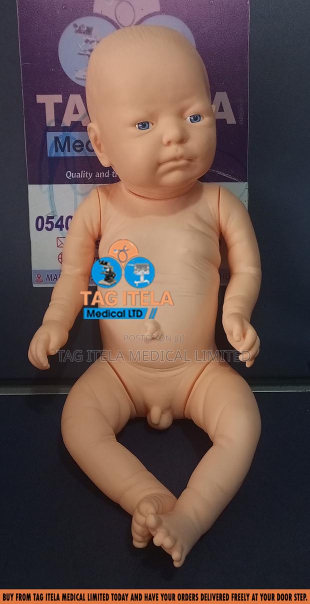 Baby Manikin Dummy (Male/Female) · Photo 2