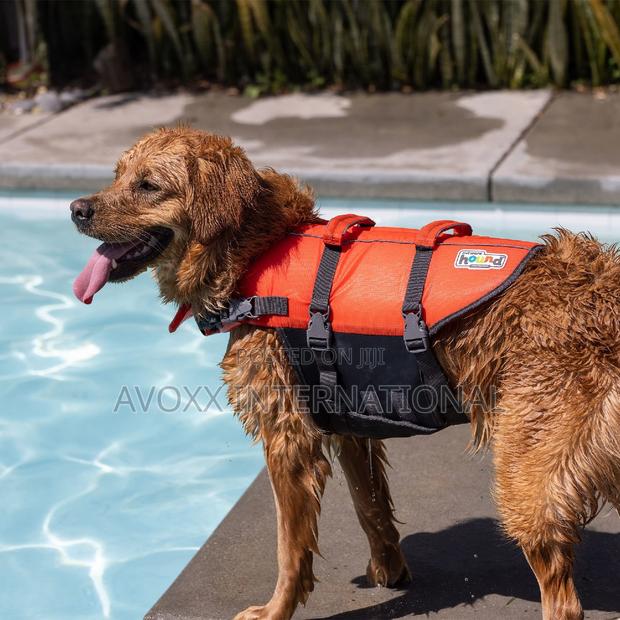 Outward Hound Granby Splash Orange Dog Life Jacket, 21"-27 " · Photo 5