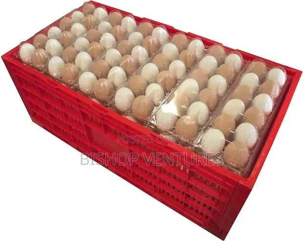 Eggs Transport Crates · Photo 1