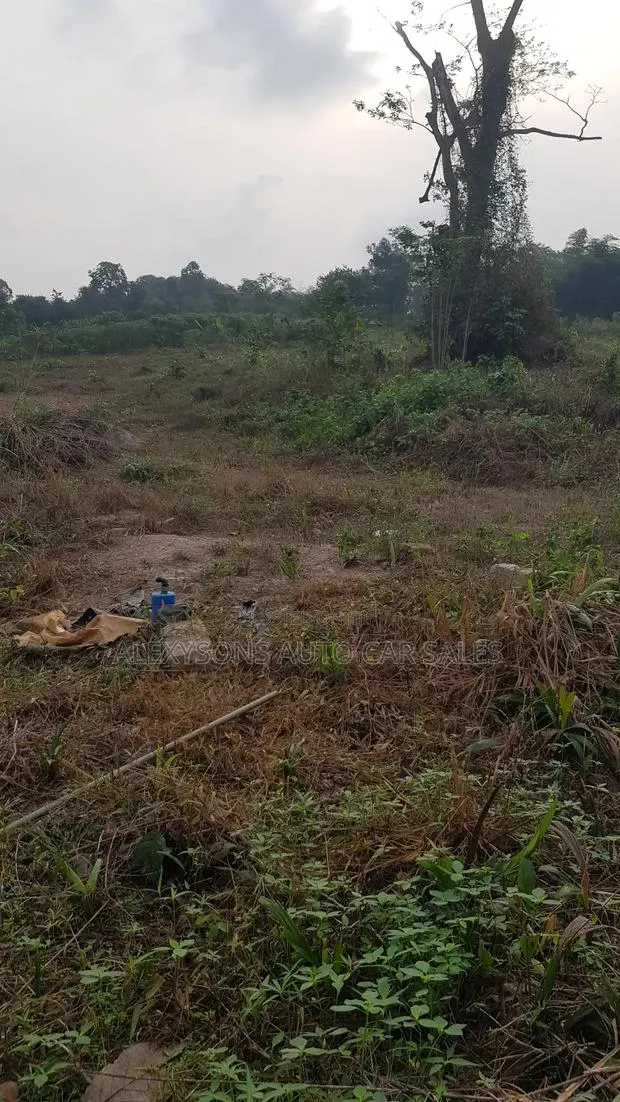 2 Acres of Land, Poultry Farm Land With Bed Room, Ofices, Water, Light · Photo 7
