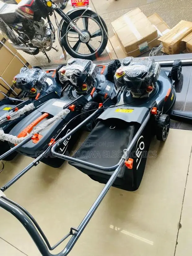 Mowing With Ease,Leo 4hp Lawn Mowers · Photo 1