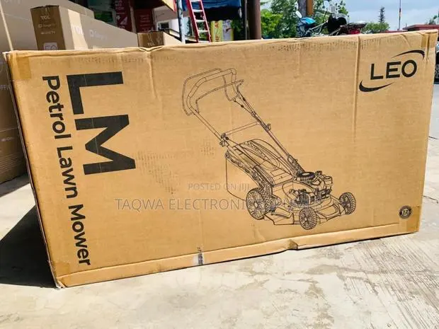 Faster Moving /Lm51z-2l Leo 5.5hp Lawn Mower · Photo 1