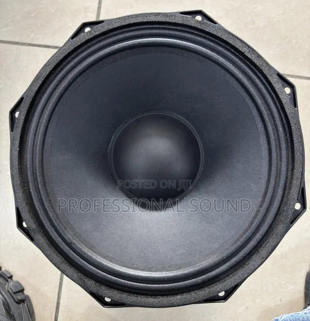 GLS Music G12100 12-Inch Double Magnet Naked Line Array · Photo 1