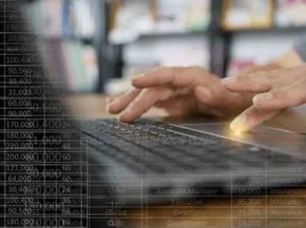 Professional Data Entry Services – Accurate & Reliable · Photo 1