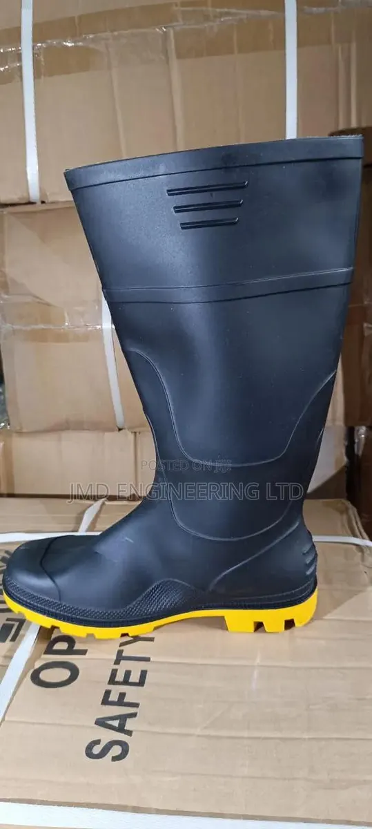 Wellington Shoes · Photo 1