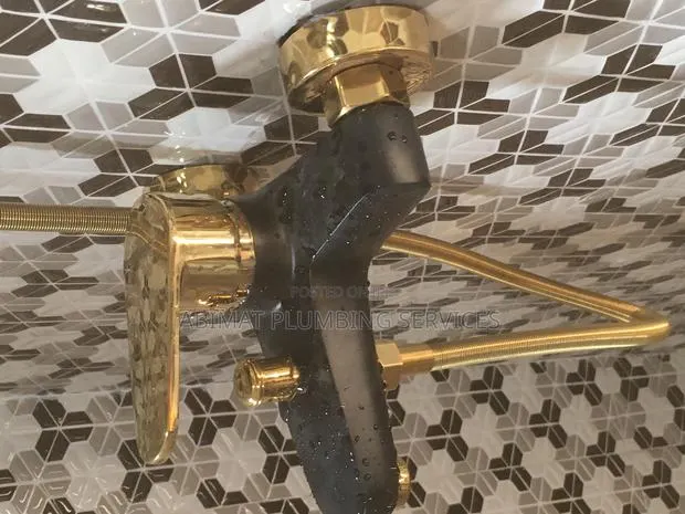 Professional Plumber (Certified · Photo 4