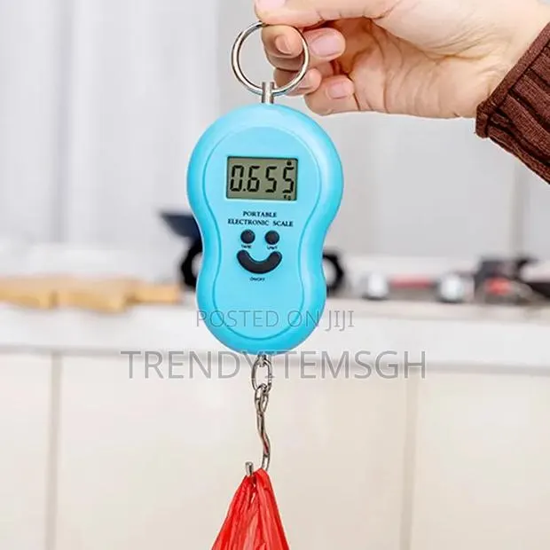 Portable Digital Hanging Scale 50kg · Photo 1