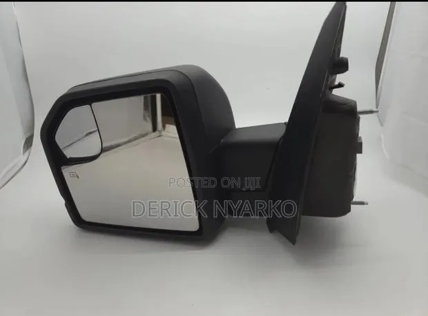 Ford F150 2017-2021 Side Mirror · Photo 1