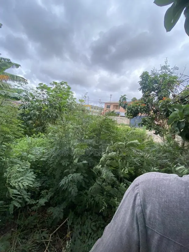 Land for Sale · Photo 1
