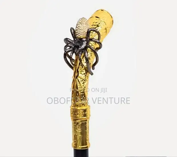 SPIDER HEAD Stylish Fashion Traditional Walking Stick · Photo 1