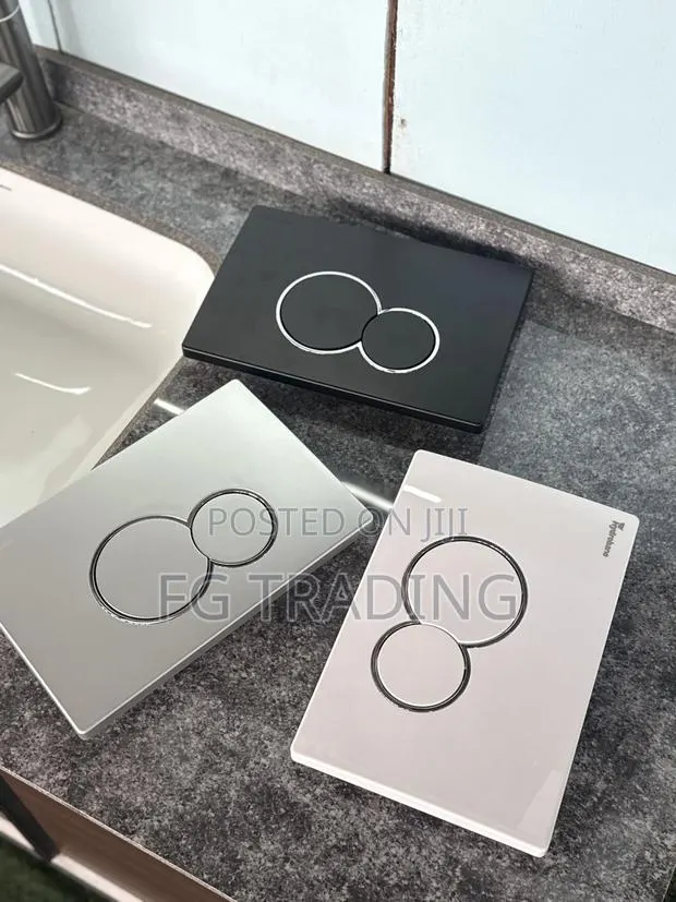 Concealed Flushing Plate - Toilet Flushing Buttons · Photo 1