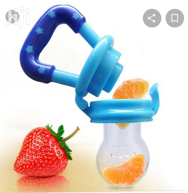 Baby Fruit Feeder · Photo 1