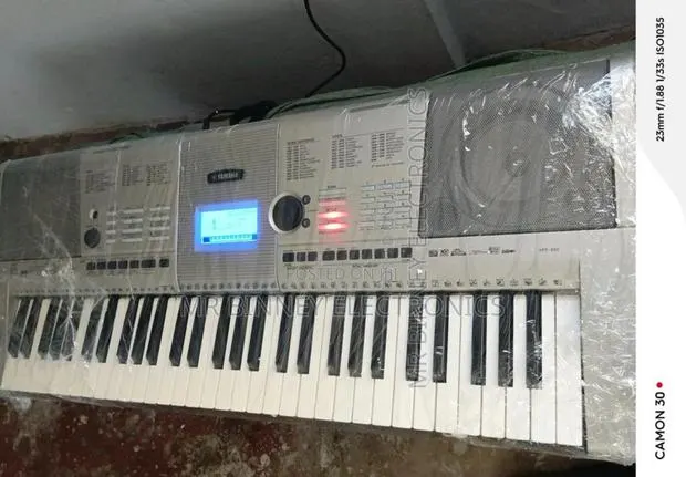Yamaha Ypt-420 · Photo 1