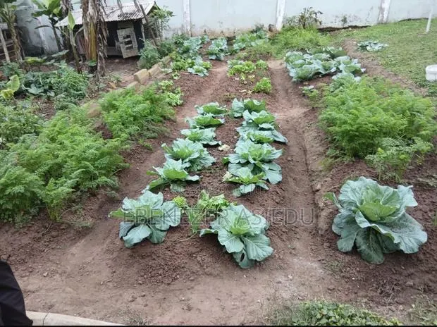 FarmNest GH-Backyard Container Farm Setup|Home Farming Solutions . · Photo 1