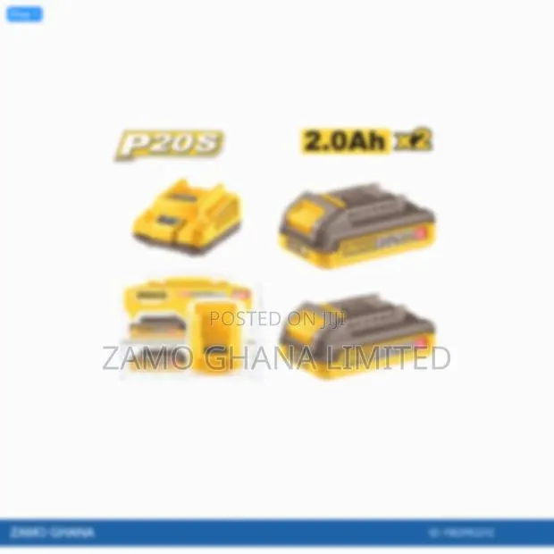 P20s Lithiumion Battery and Charger - Fbcpk2212 · Photo 1