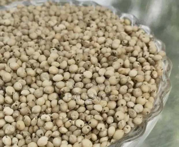 Sorghum Grains · Photo 1