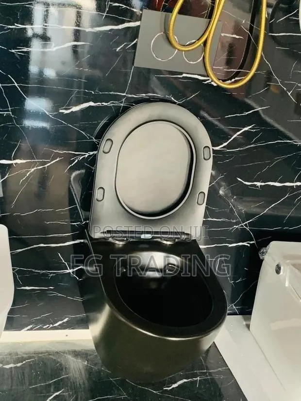 Concealed Water Closet - Wall Hung Toilet - Black WC · Photo 1
