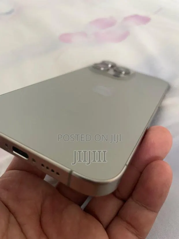 Apple iPhone 15 Pro Max 256 GB Silver · Photo 1