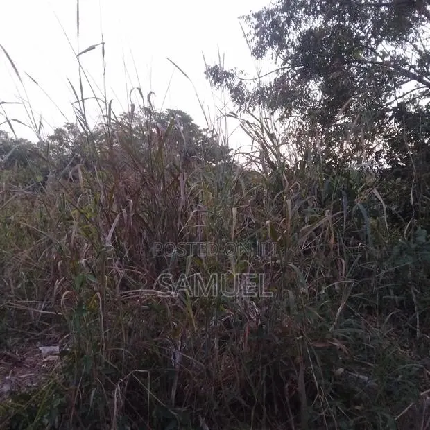 Plot of Land · Photo 1