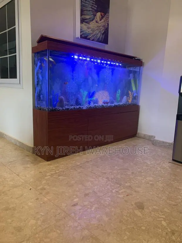 Apostle Aquarium With 15 Fishes · Photo 1