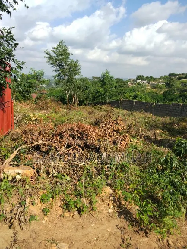Land for Sale at Dodowa · Photo 1