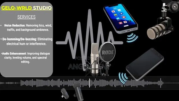 Audio Engineer/Audio Restoration and Noise Reduction Services/Recordin · Photo 1