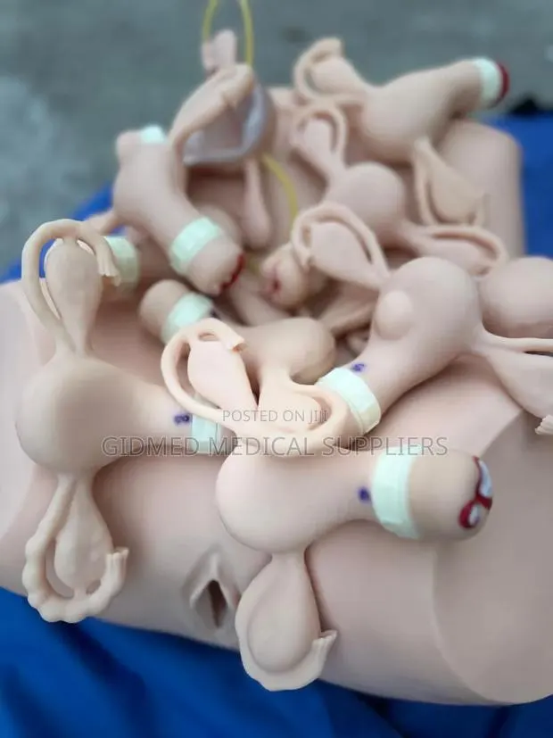 Gynaecological Training Stimulator · Photo 1