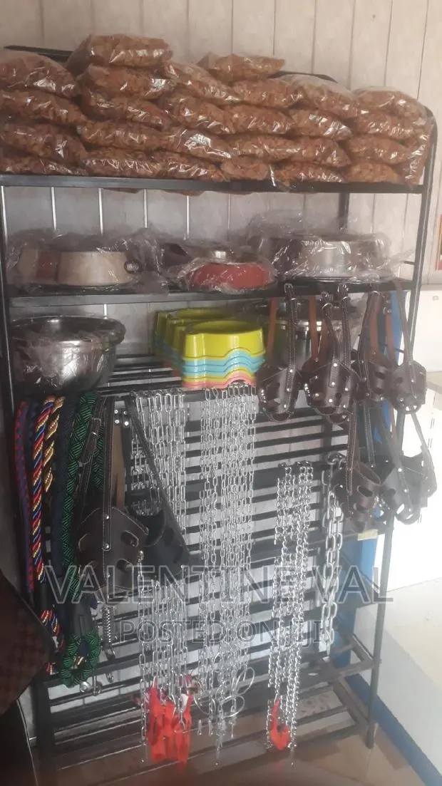 Dog Food and Dog Biscuit · Photo 1