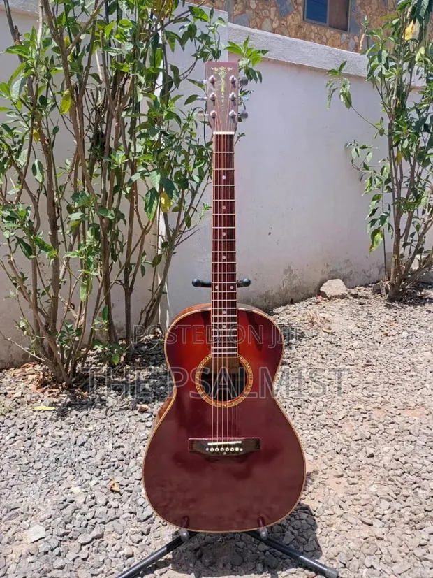 Aria Adl-01bs Acoustic Guitar · Photo 1