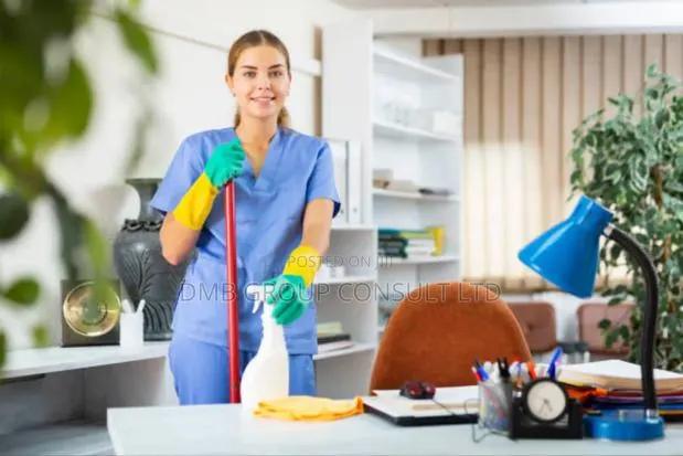 Kasoa Cleaners · Photo 1