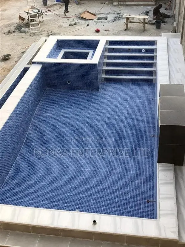 Swimming Pool Professional Services · Photo 1