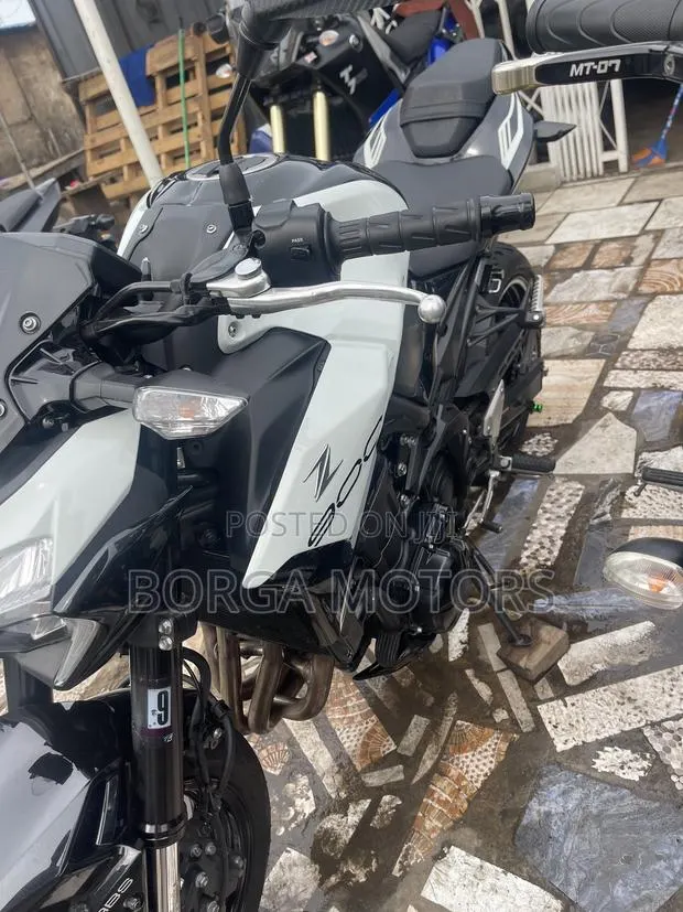 Kawasaki Z900 2022 White · Photo 1