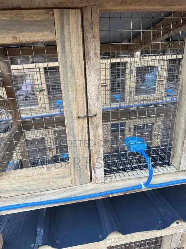 4 Rooms Modern Rabbit and Grasscutter Cage · Photo 3