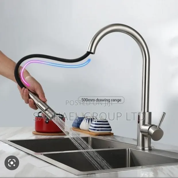Kitchen Faucet Pullout · Photo 1