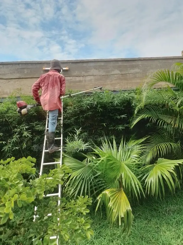 General Landscape Maintenance · Photo 1